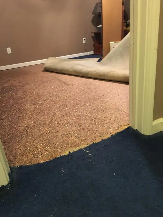 Carpet pad removal revealing water damage during Water Mitigation Services in Sylvania