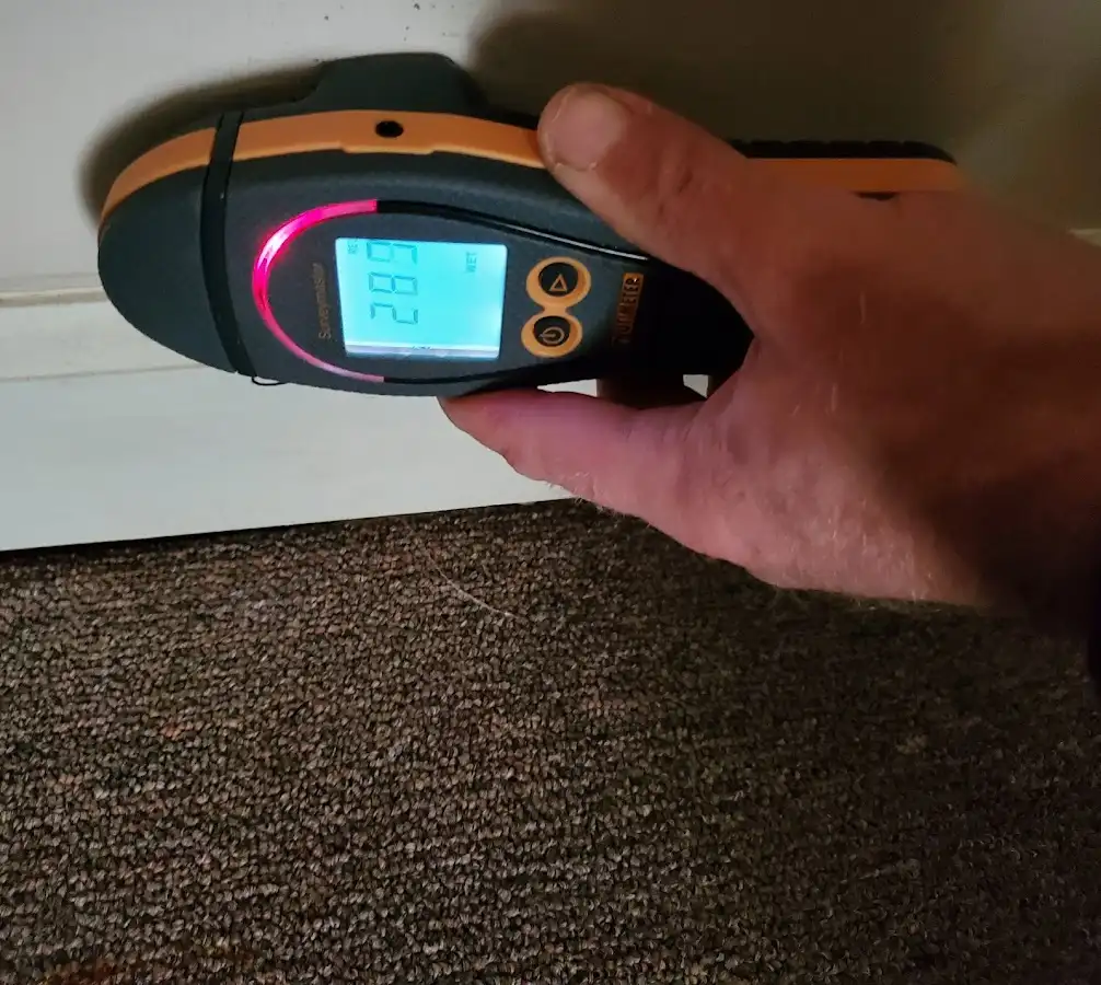 Moisture detection at baseboard during Sewage Cleanup & Sanitation in Sylvania